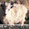 Cashmire stof